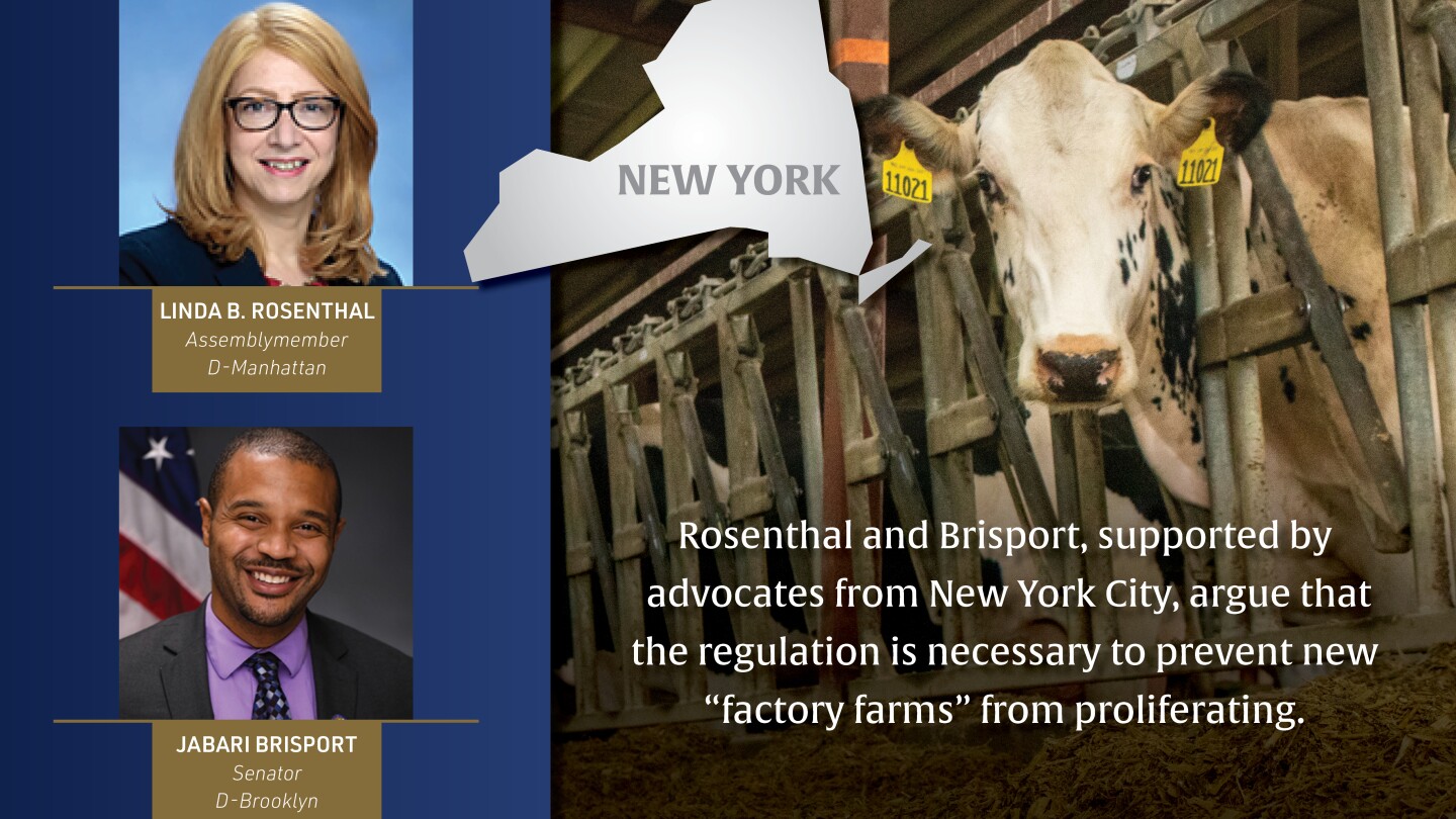 The Big Debate Over Dairy Farm Expansion: Environmental Protection or Industry Hindrance?