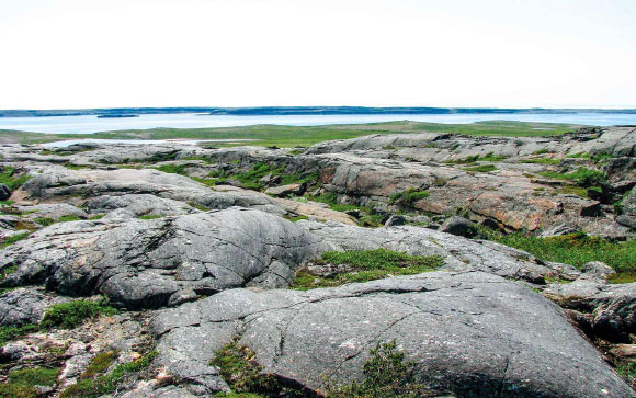 Canada’s Nuvvuagittuq Greenstone Belt Harbors Fragments of Earth’s Oldest Crust, Study Shows