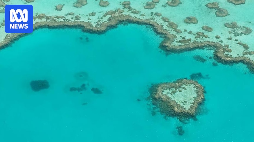 Environment 'compromise' needed, says Watt, as he seeks debate reset