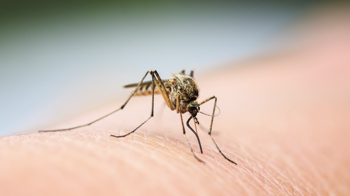 Licking County Health Department identifies 1st pool of mosquitoes with West Nile virus this year