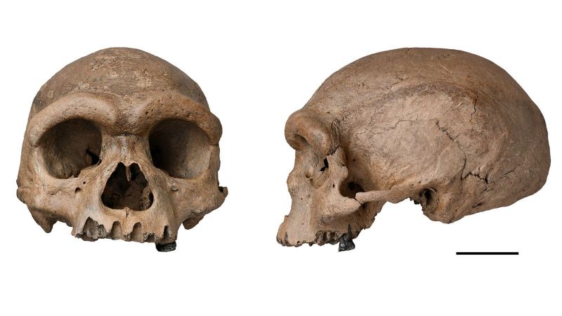 Science recap: This week’s discoveries include the fossilized skull of a mysterious, prehistoric human species