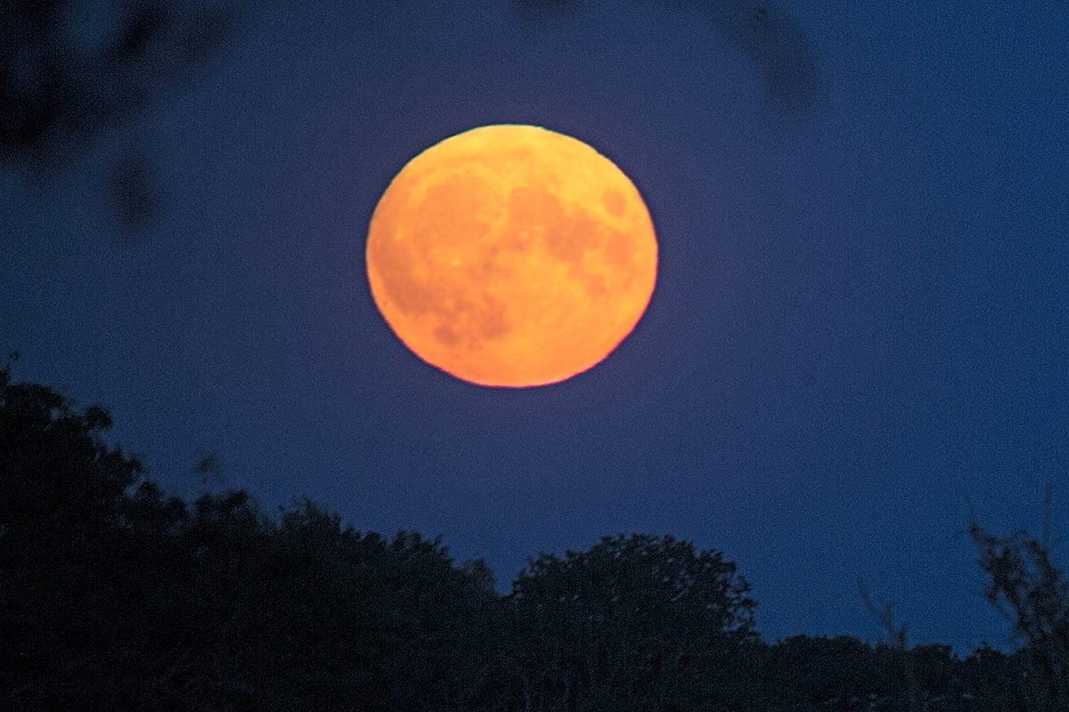 Photograph the Strawberry Moon rising and you'll be able to debunk an illusion as old as the Moon itself | BBC Sky at Night Magazine