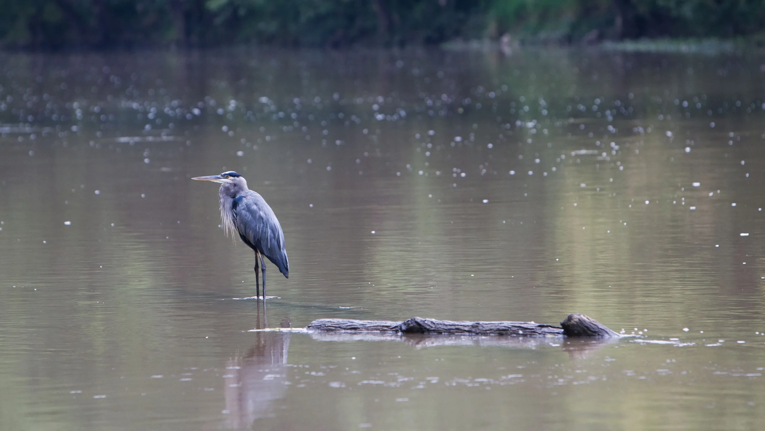 IDEM seeks public input on eliminating 'overly burdensome' environmental regulations