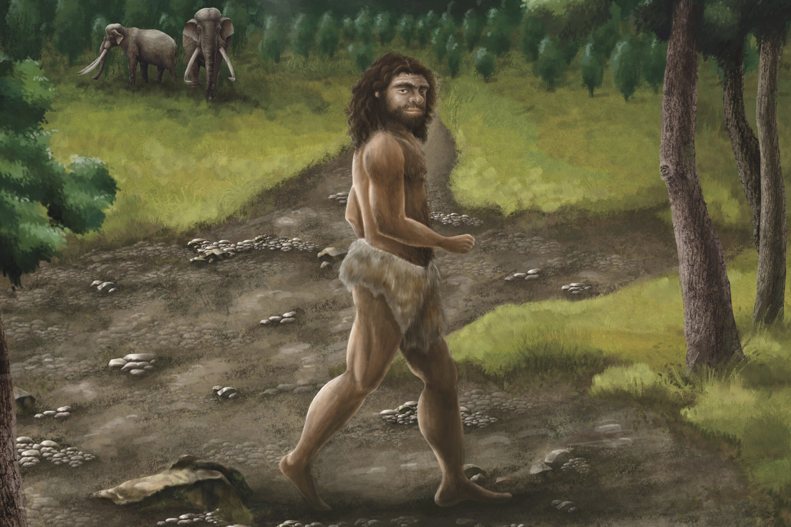 Key evidence links Harbin individual's nearly complete skull to Denisovan lineage