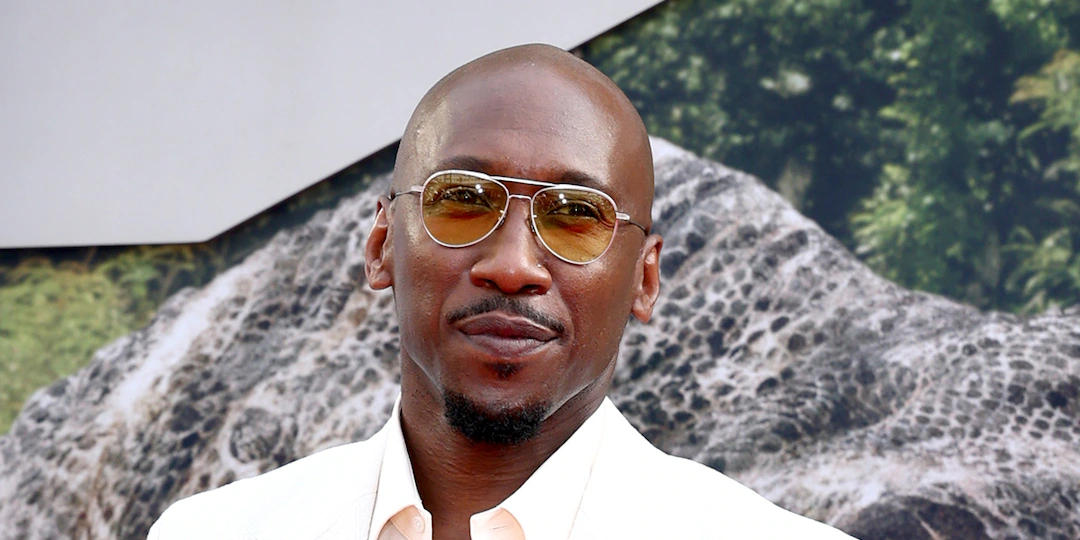Jurassic World Rebirth Premiere: See Every Celebrity Arrive on the Red Carpet