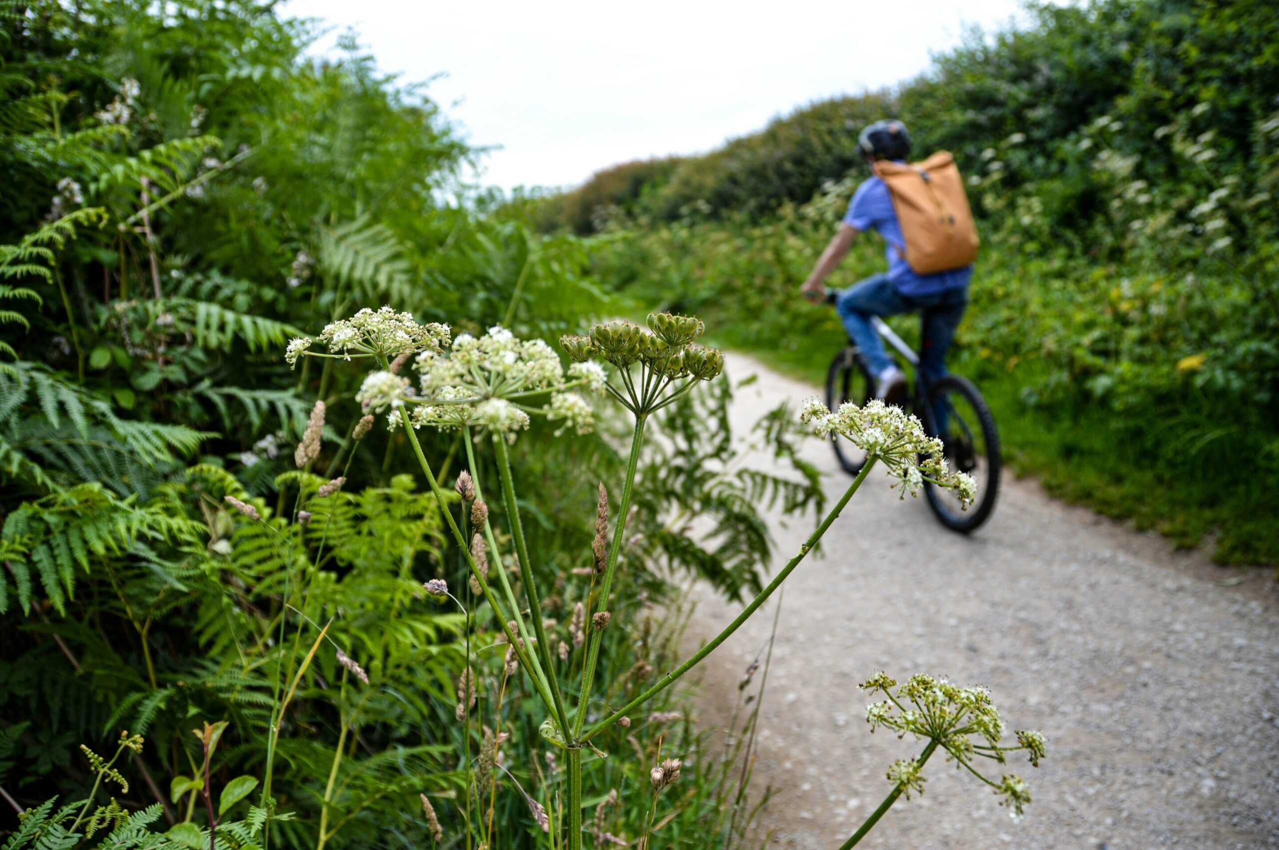 Public voices reveal complexities in selling health and environment win-wins