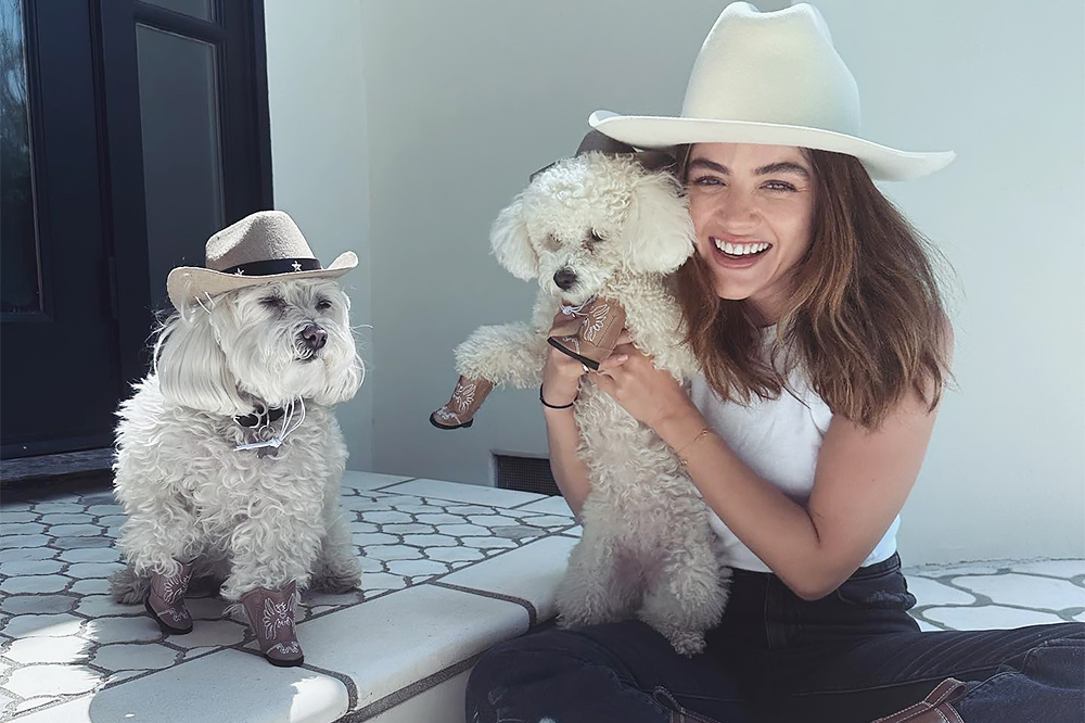 Celebrities Who Hilariously Named Their Pets After Other Stars