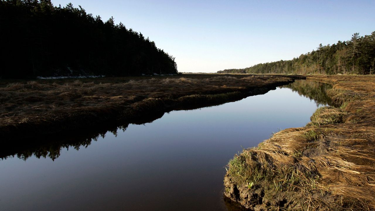Maine alleges retaliation in suit over loss of salt marsh funds