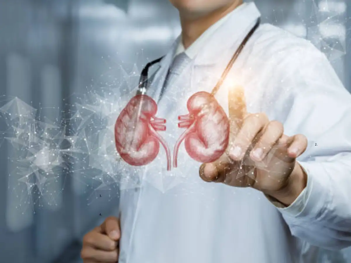 6 foods that help improve kidney health