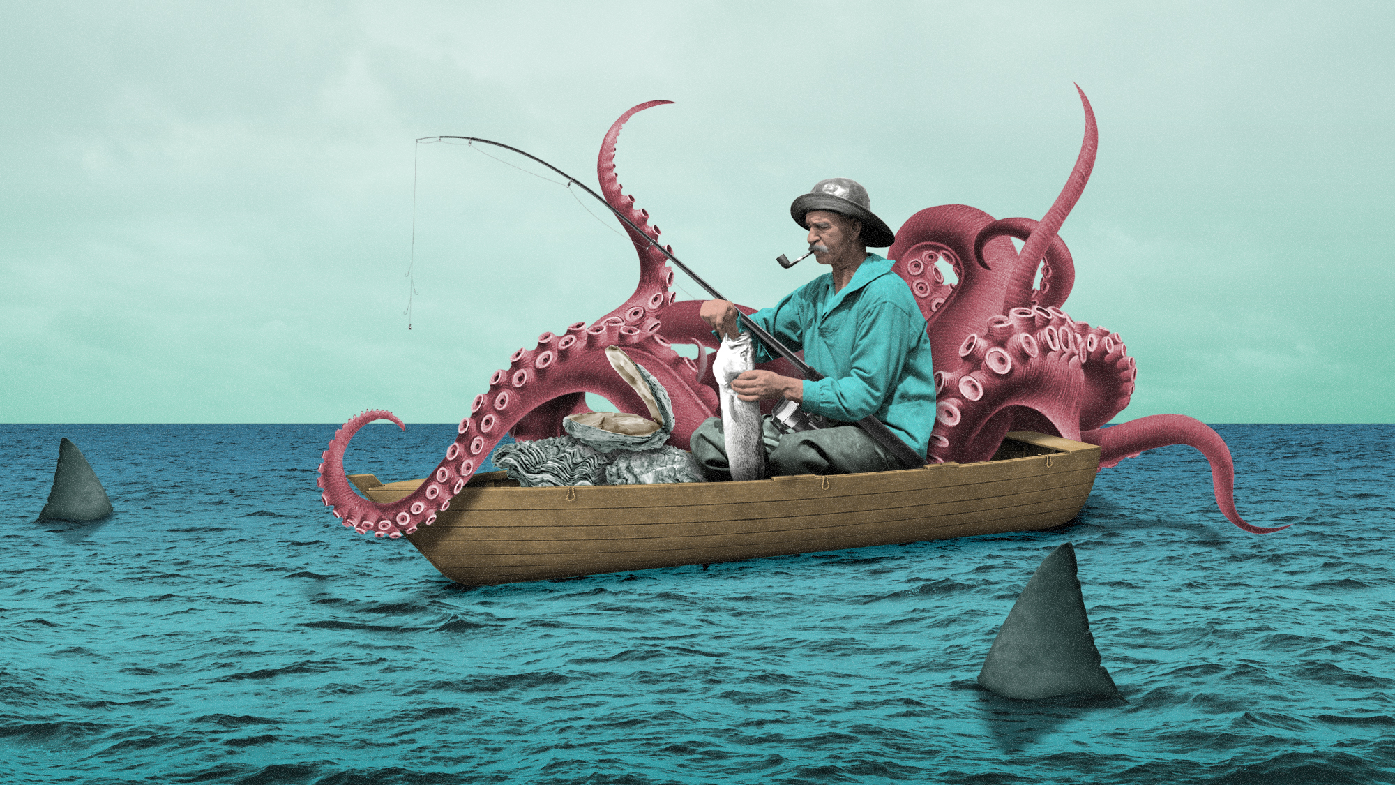 Octopus, Orcas and Oysters: how the UK's marine environment is changing