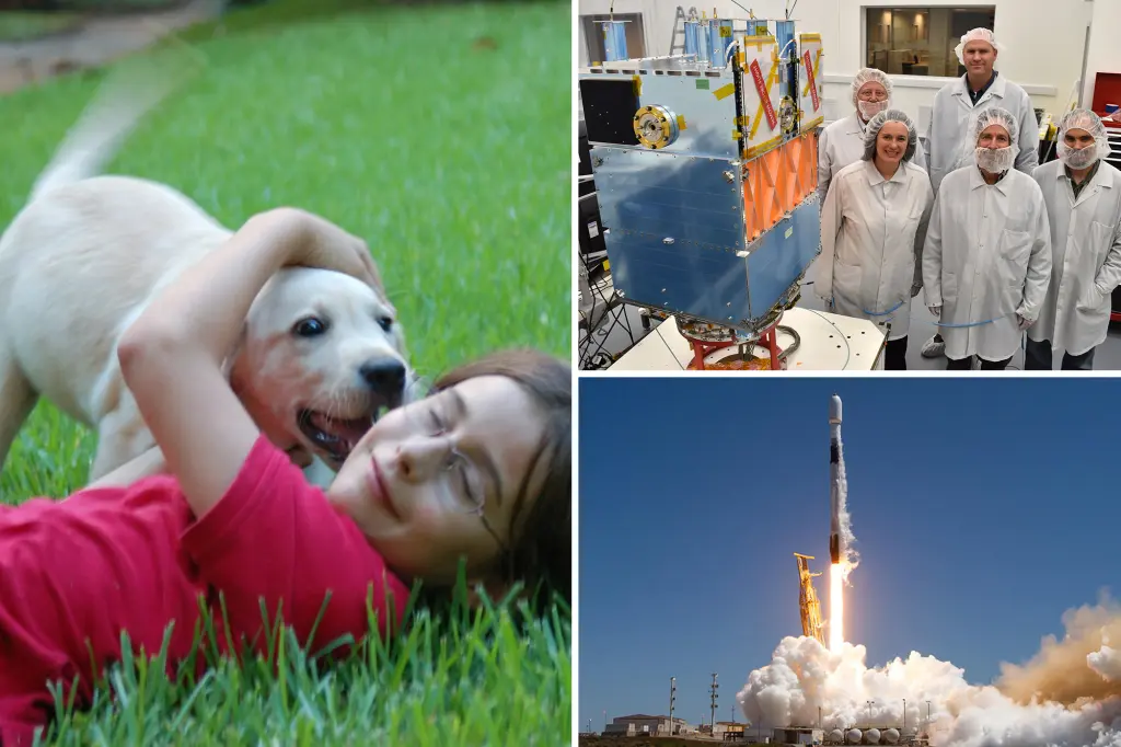 Exclusive | Space dog: Beloved family pooch's ashes will be launched into space...