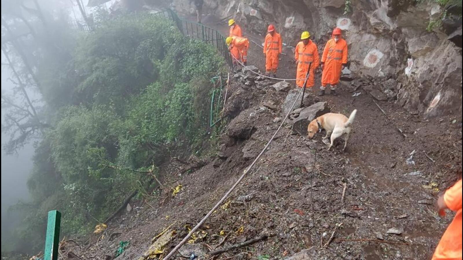 3 days on, sniffer dogs deployed in search for 2 missing pilgrims on Yamunotri trek