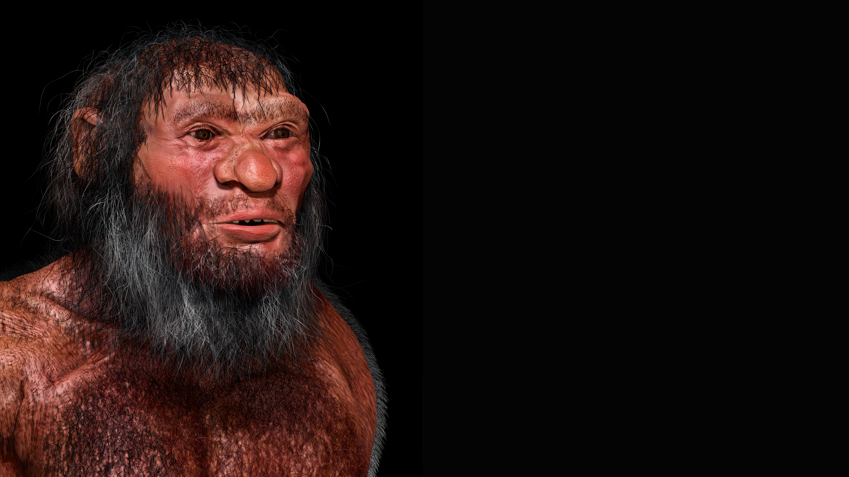 1st-ever Denisovan skull identified thanks to DNA analysis