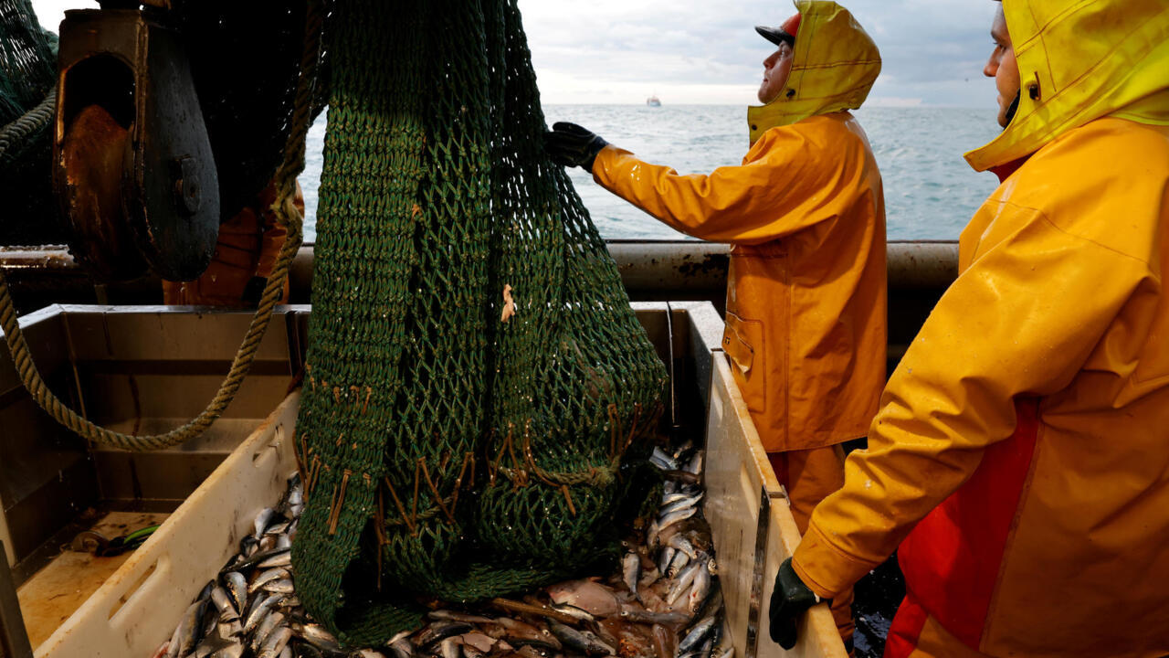 French NGOs slam 'lack of ambition' after Macron's bottom trawling announcement