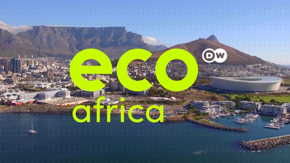 Eco Africa - Healthy environment, healthy humans