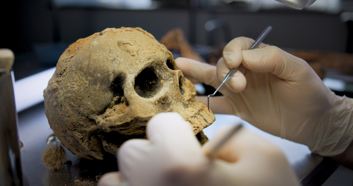Skull Discovered in 1933 Sheds Light on Ancient Human Species