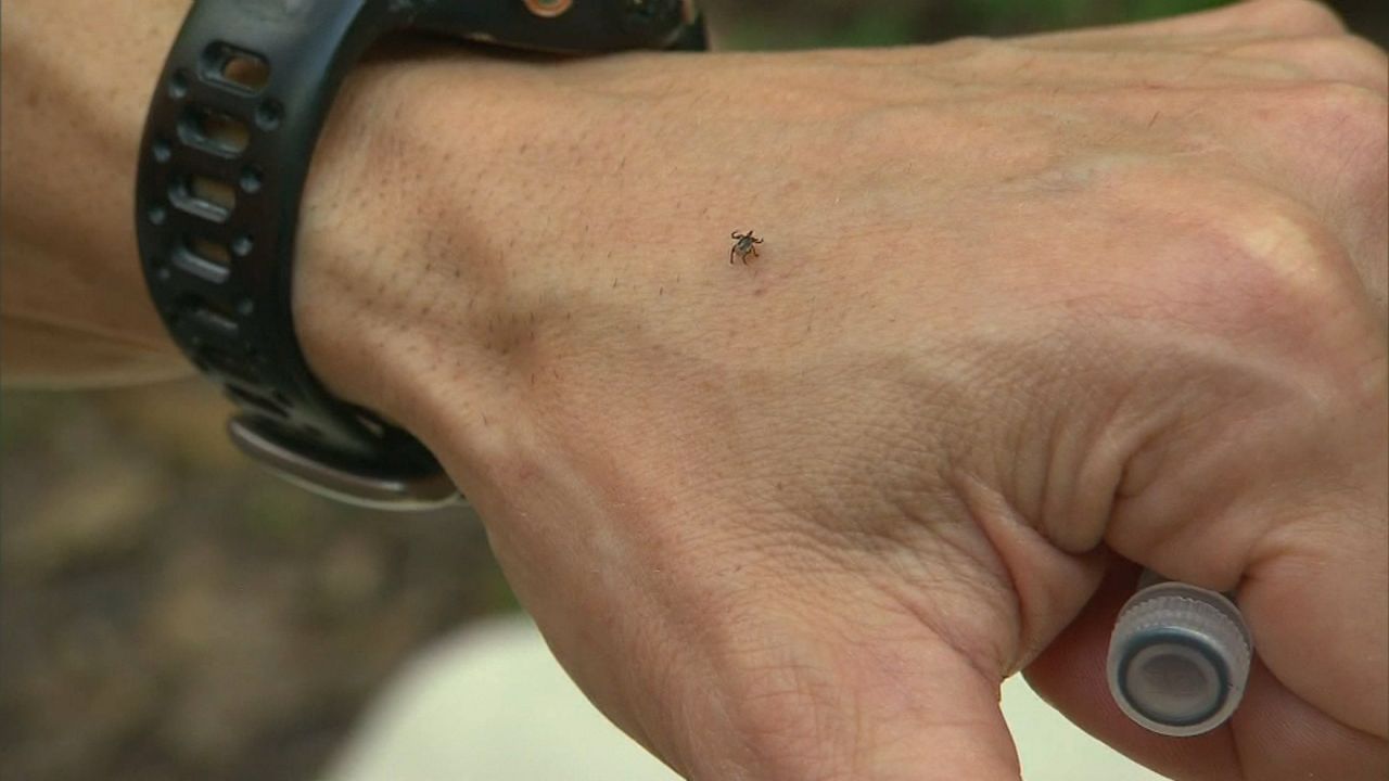 Health officials report uptick in West Nile Virus