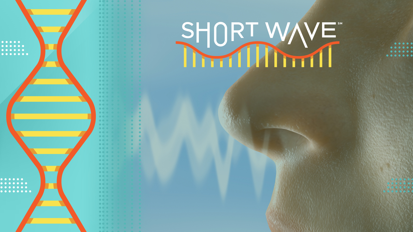 Could humans' unique nasal 'fingerprints' give us information about our health? : Short Wave