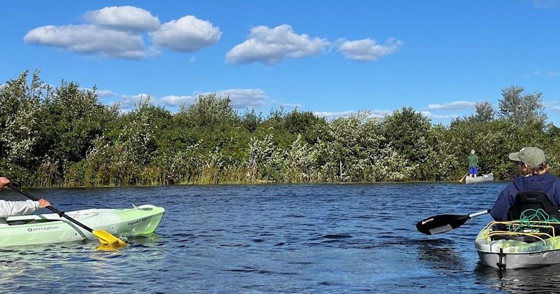 Aquatic plant ID focus of workshop