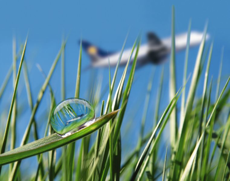 Environmental Sustainability Coordination Group