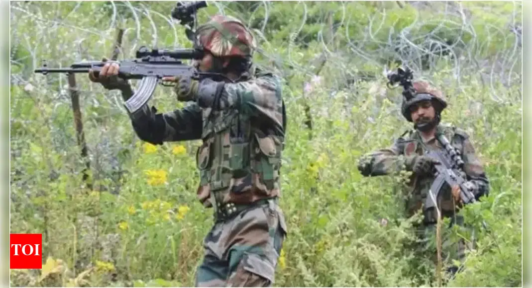 J&K encounter: Army, police launch Operation Bihali; contact established with terrorists | India News
