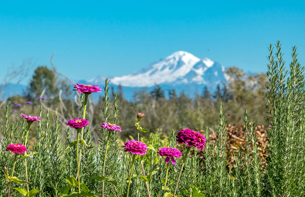 Lifestyle Lookout: Outdoors activities, Downtown Distilled in Ferndale, Bellingham Holi Festival and more