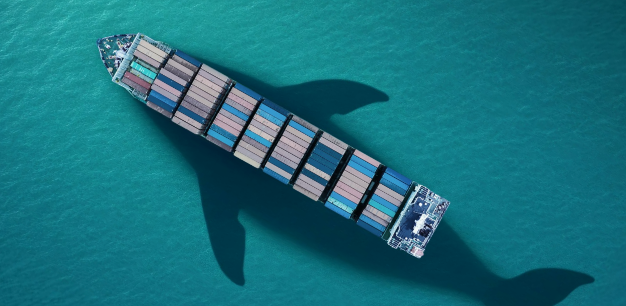 LR: Protecting the marine environment should be top priority