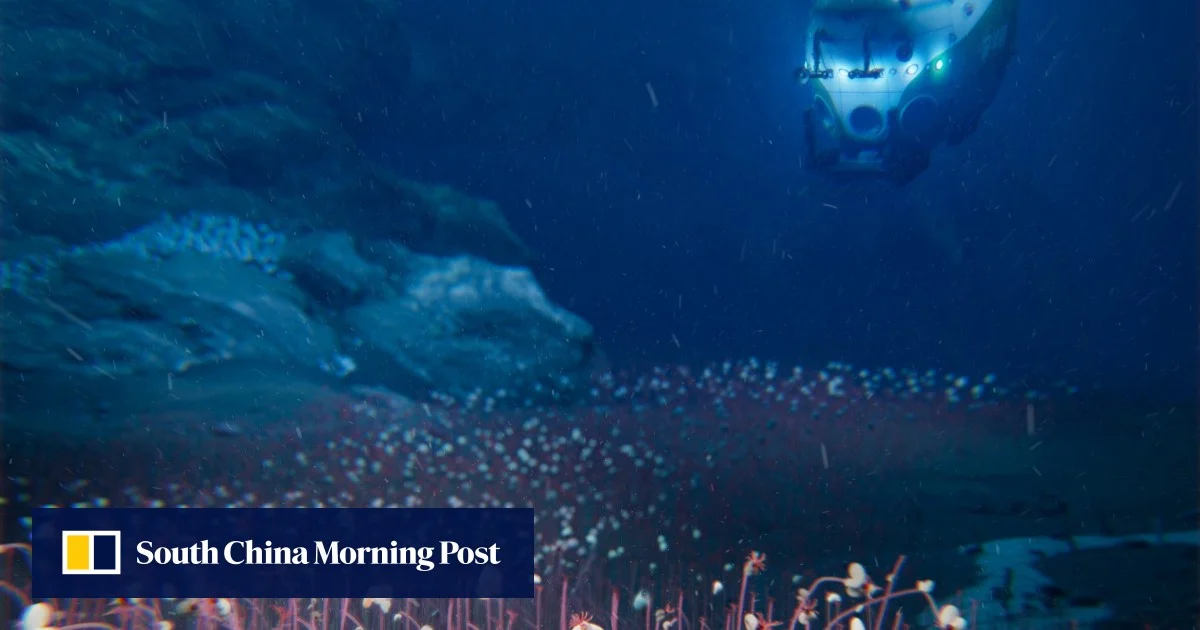 ‘Extreme limits’: China-led mission discovers Earth’s deepest animal oasis