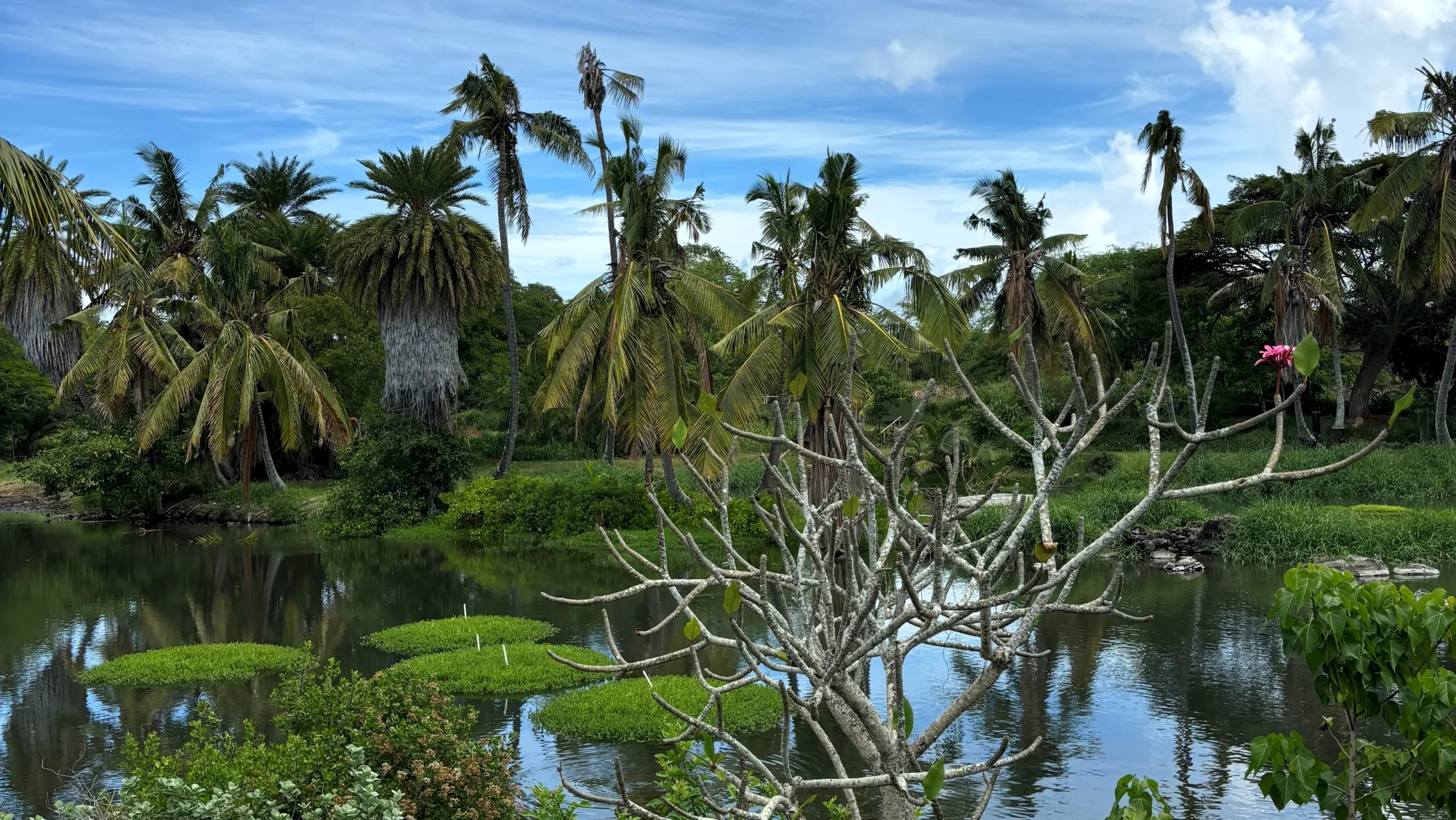 Forget 'Aloha.' This is the Hawaiian word every traveler should know.