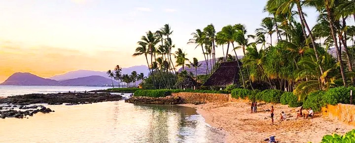 Hawaii Travel Meltdown As Tsunami Alert Empties Beaches And Grounds Flights