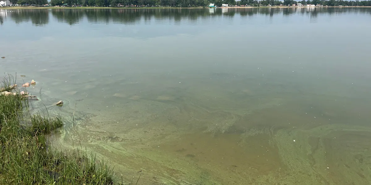 Public health officials warn of toxic blue-green algae in Colorado
