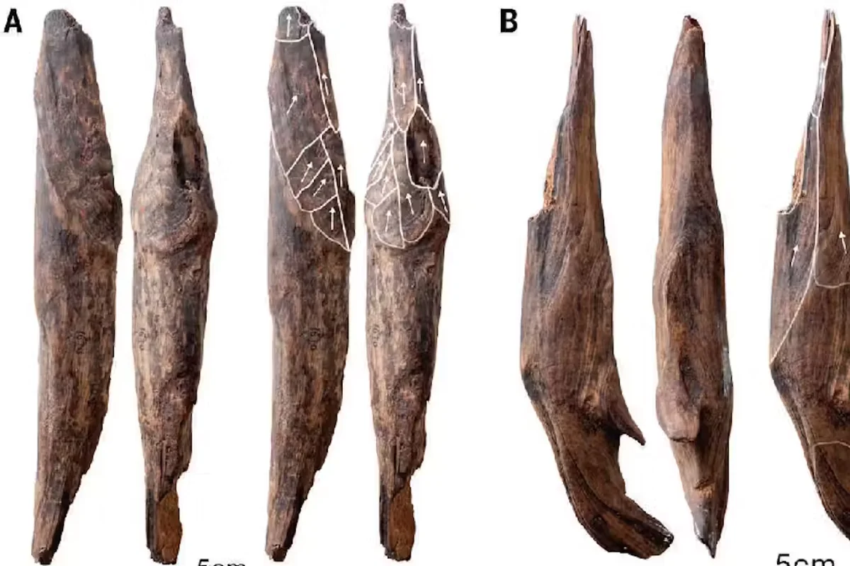 300,000-year-old wooden tools found in China reveal diet secrets of early humans