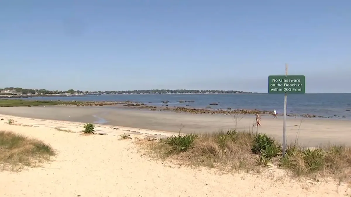 Department of health warns of swimmer's itch at Greenwich Point beach