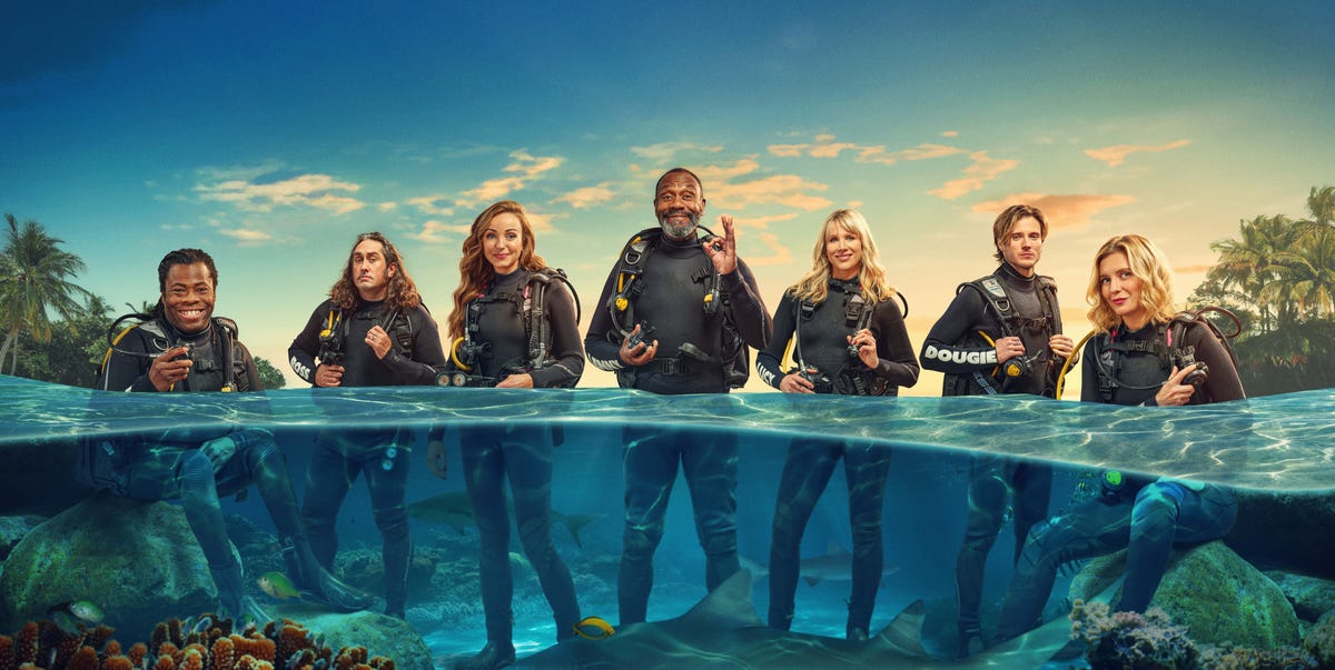 'I thought it was a joke': ITV's weird new reality show Shark! Celebrity Infested Waters release date revealed
