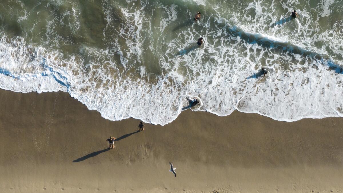 Go to the beach, just don't get wet. Bacteria warnings issued ahead of July 4th at 8 beaches