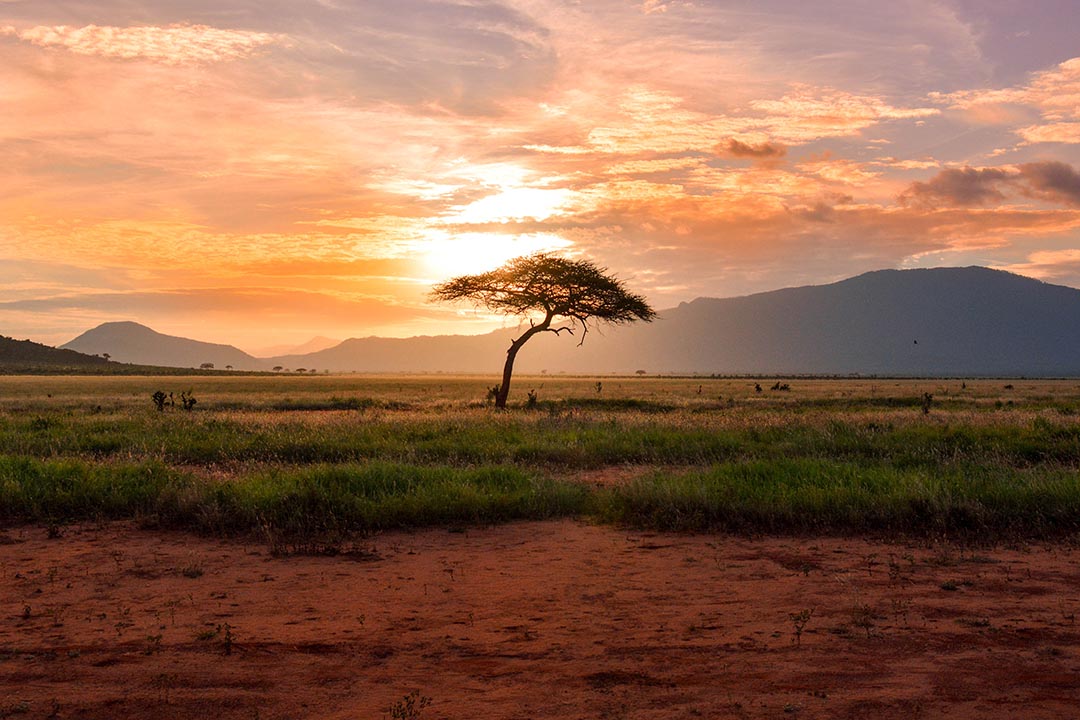 African Ministers Reflect on Past, Imagine Future Environmental Action