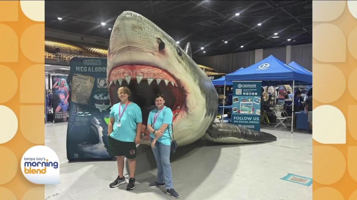 SharkCon Returns July 12 & 13: Shark Stars, Celebrities, and More!
