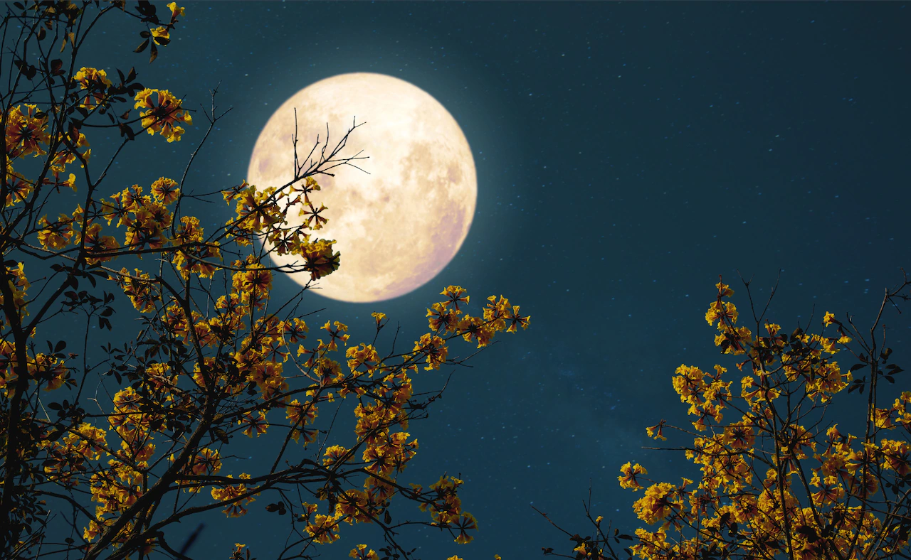 Thunder moon will appear in the night sky this week