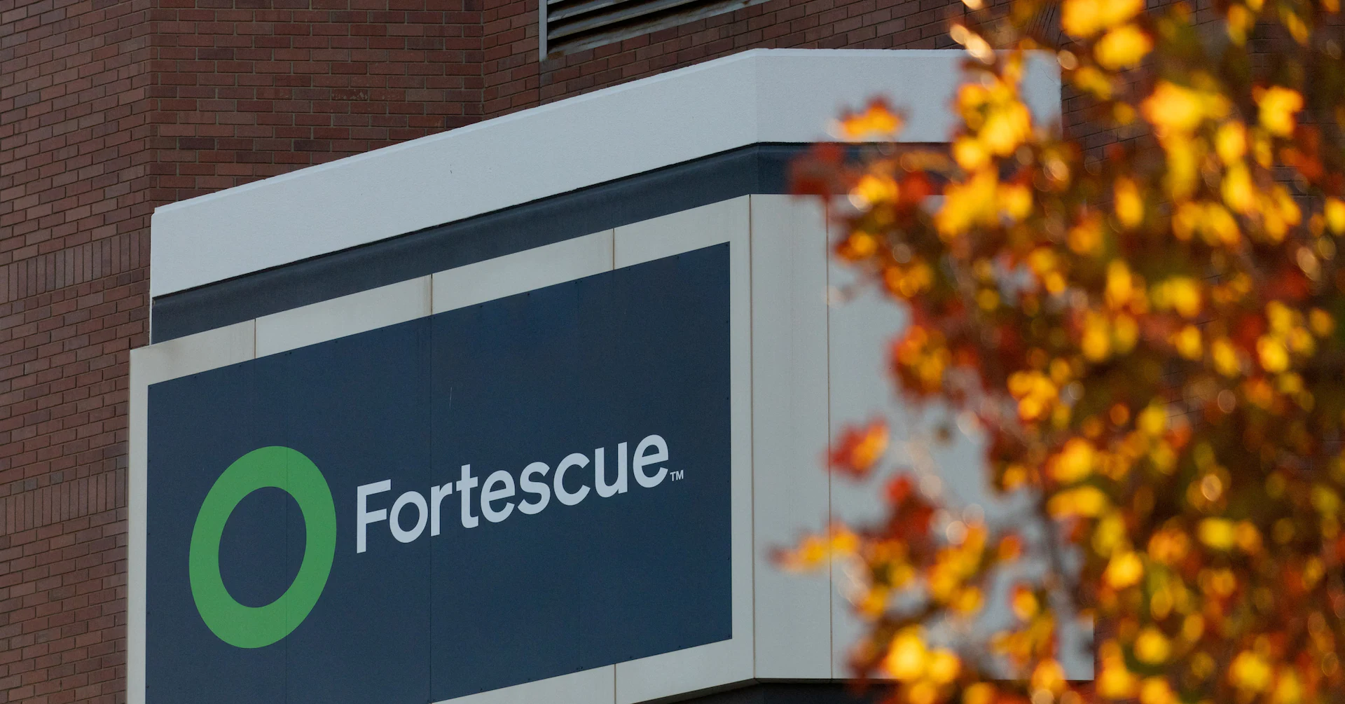 Fortescue shares up on iron ore beat