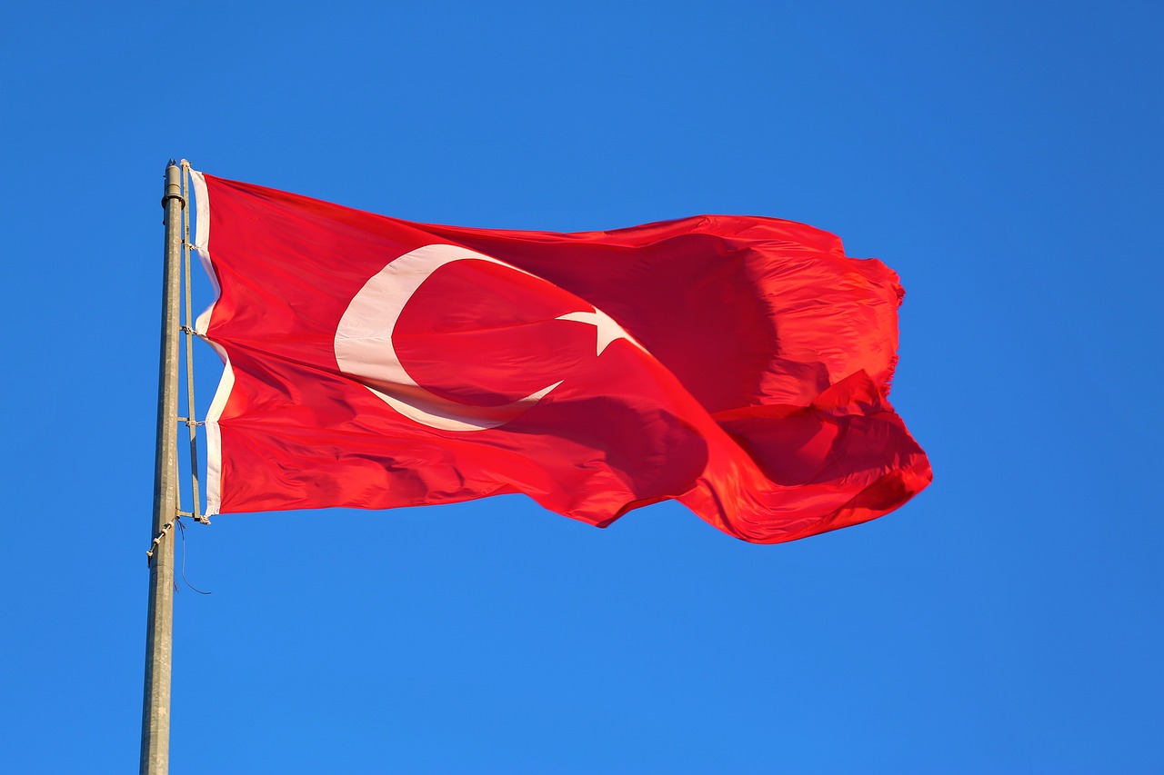 Türkiye court asked to scrutinize environmental impact assessment for coal plant expansion