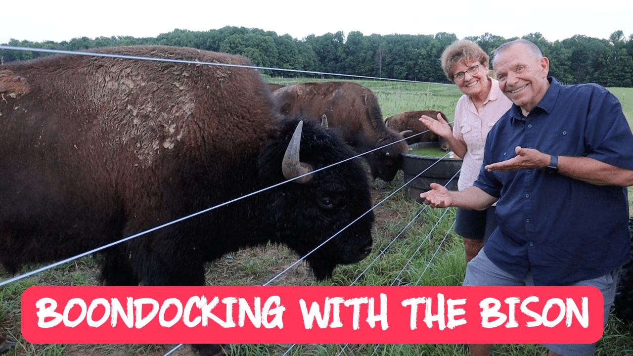 Boondocking With The Bison