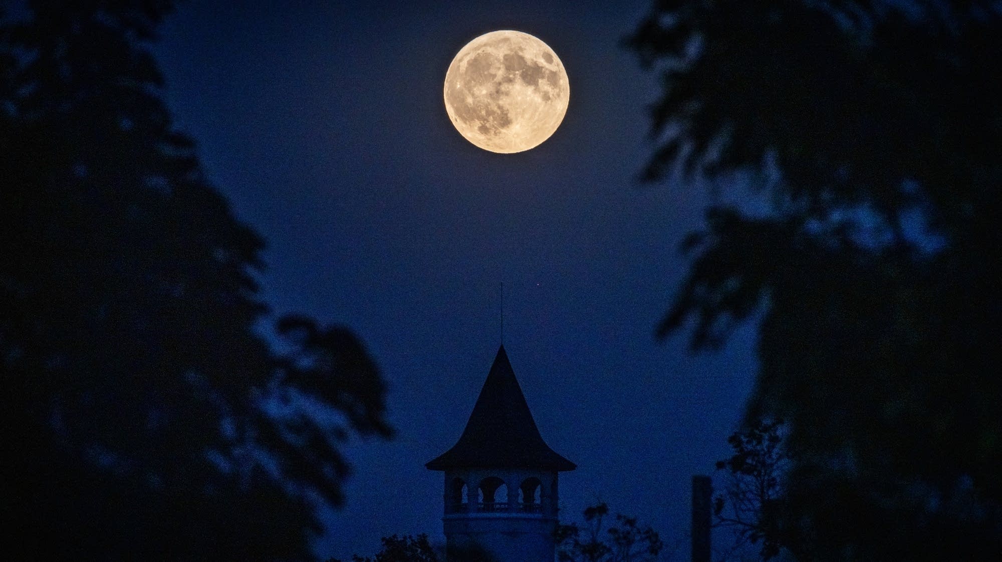 Full Buck Moon tonight