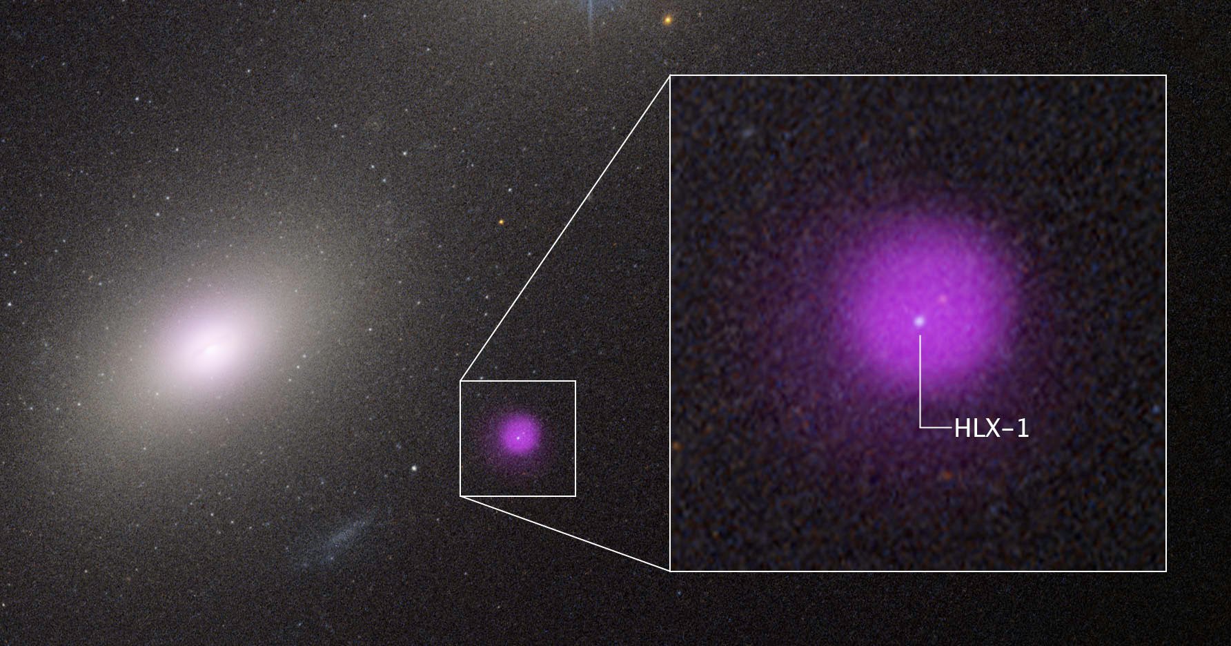 Scientists Spot an Exceptionally Rare 'Intermediate' Black Hole Eating a Star