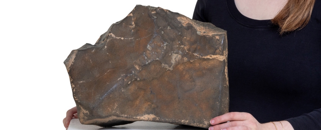 Largest Mars Rock on Earth Could Sell For US$4 Million