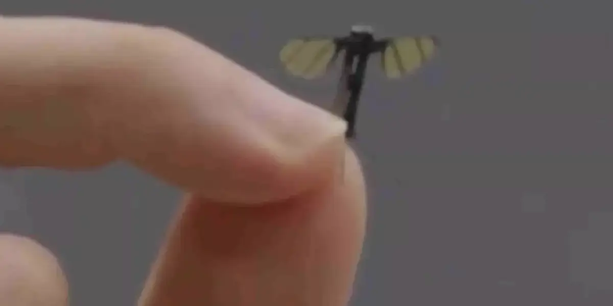 Military experts weigh in on China's new mosquito-like spy drone
