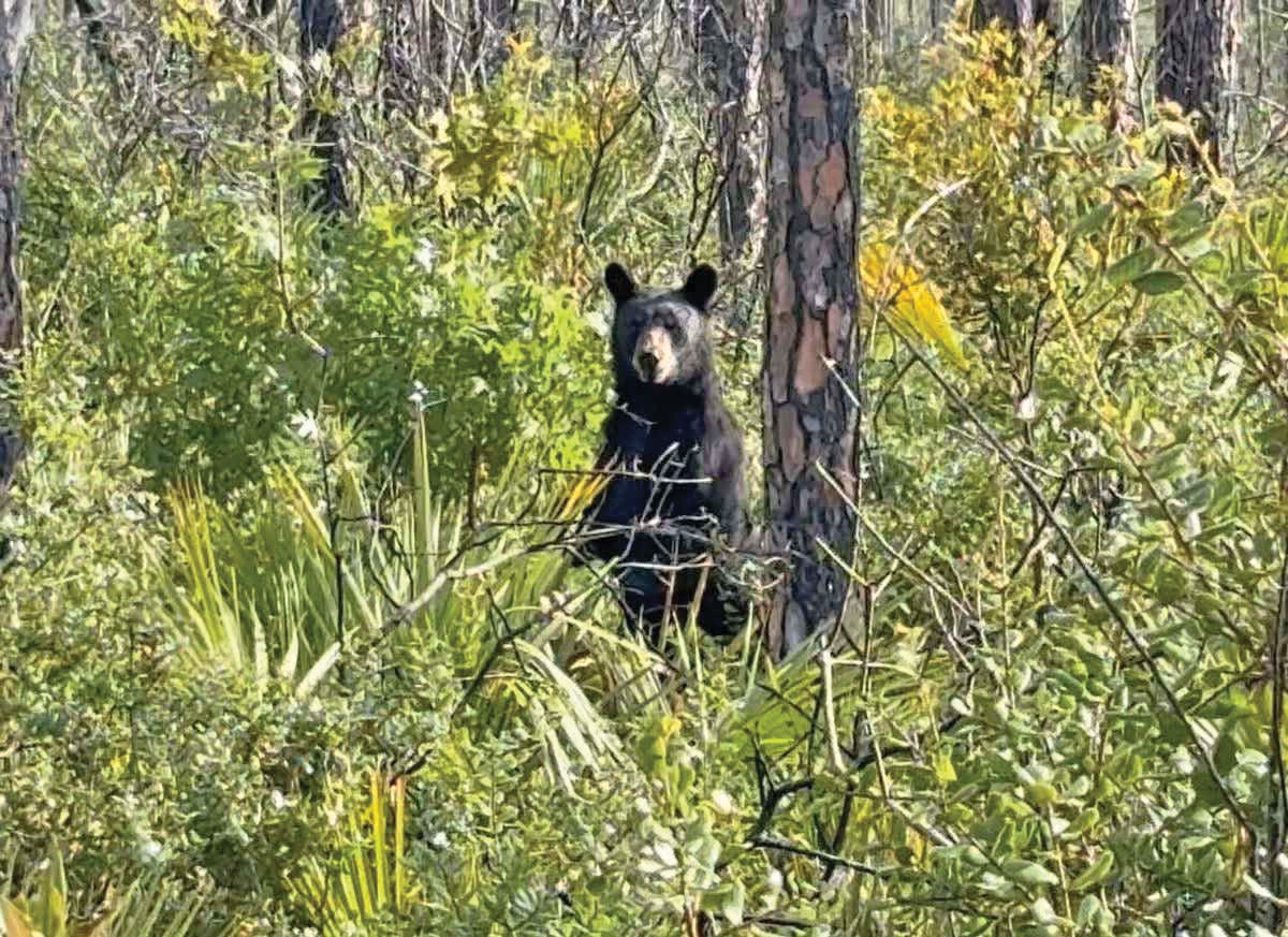 Adventure travel: Walking into Florida - Fort Myers Florida Weekly