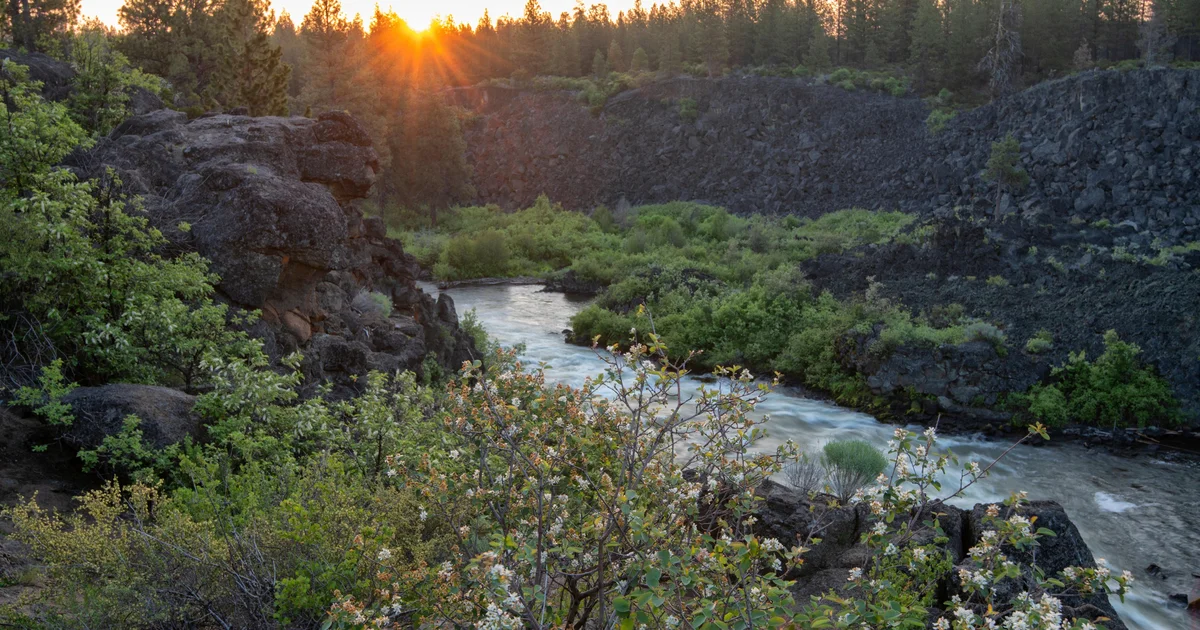1 dead, 2 missing after being swept down Oregon waterfall