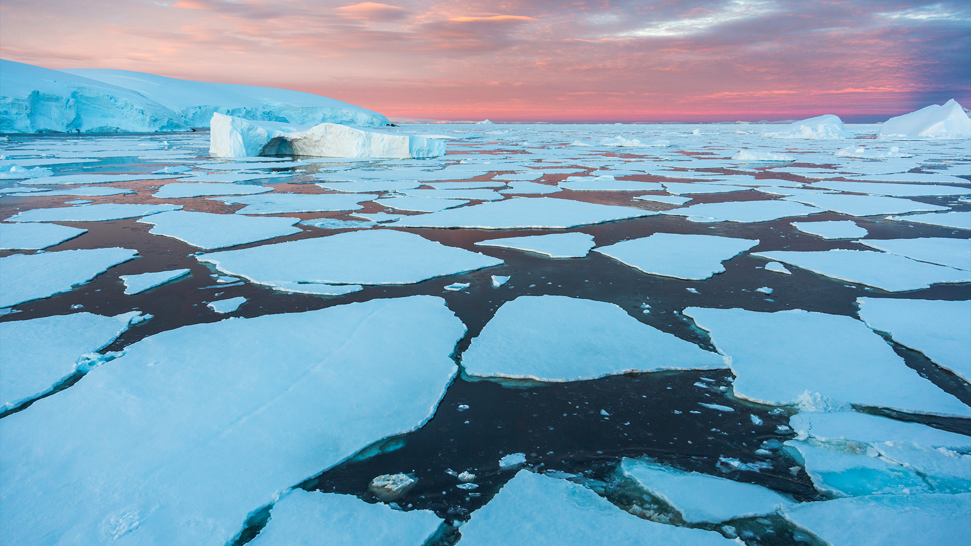 Antarctic sea ice collapse linked to a mysterious spike in ocean salt