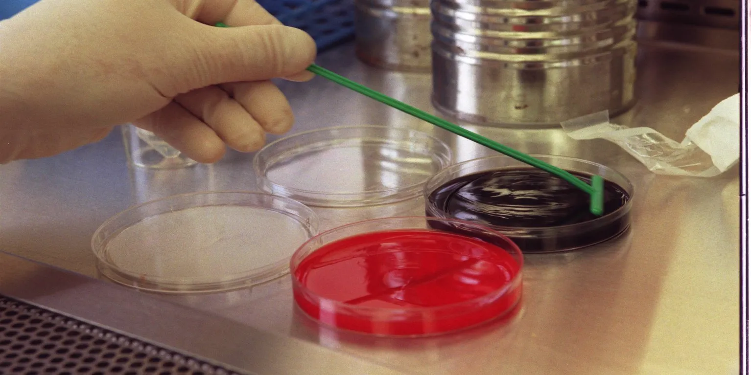 Wayne Co., state health officials investigating cases of Legionnaires' disease in Dearborn