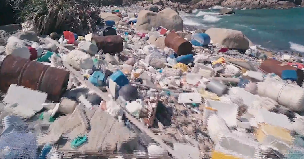 Living near nanoplastic-polluted oceans may increase cardiometabolic disease risk, study finds